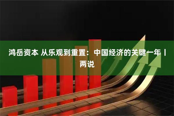 鸿岳资本 从乐观到重置：中国经济的关键一年丨两说