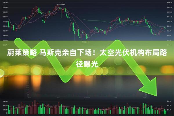 蔚莱策略 马斯克亲自下场！太空光伏机构布局路径曝光