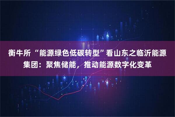 衡牛所 “能源绿色低碳转型”看山东之临沂能源集团：聚焦储能，推动能源数字化变革