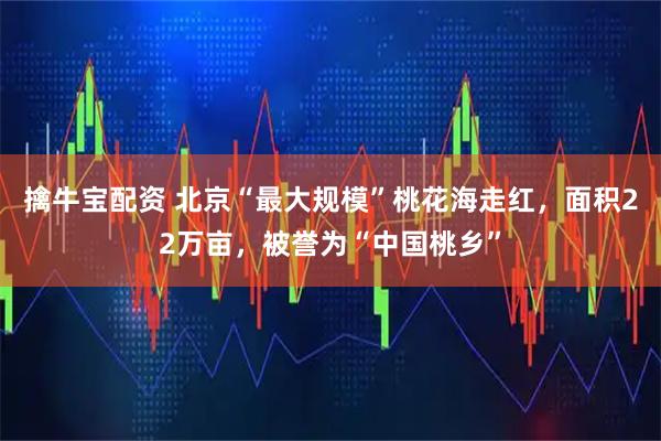 擒牛宝配资 北京“最大规模”桃花海走红,面积22万亩,被誉为“中国桃乡”