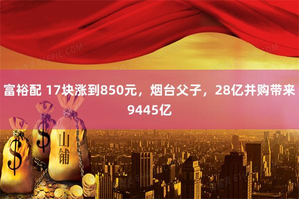 富裕配 17块涨到850元，烟台父子，28亿并购带来9445亿