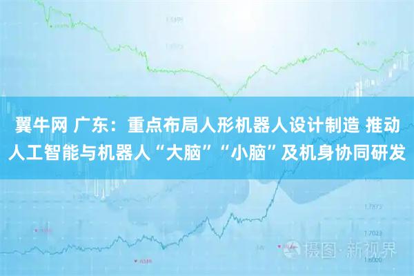 翼牛网 广东：重点布局人形机器人设计制造 推动人工智能与机器人“大脑”“小脑”及机身协同研发