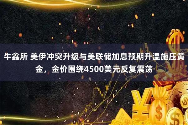 牛鑫所 美伊冲突升级与美联储加息预期升温施压黄金，金价围绕4500美元反复震荡
